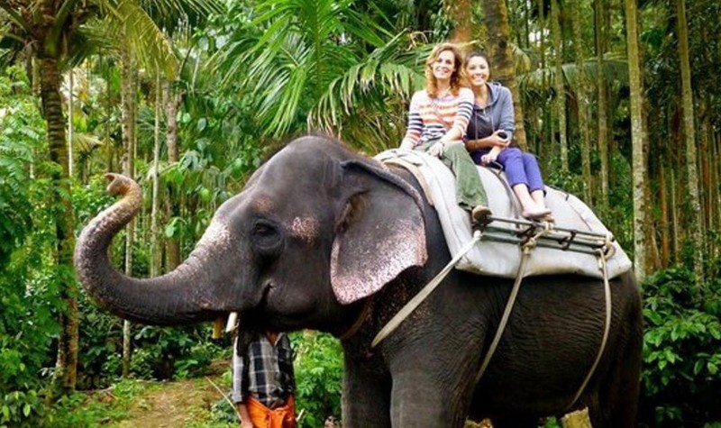 Elephant Ride